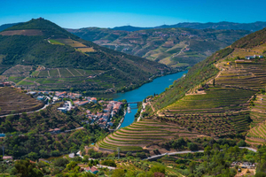 Porto: Douro Valley Tour met Lunch, Rondvaart & Proeverijen