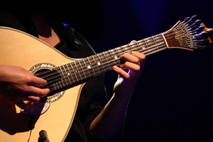 Porto: Fado Show with Dinner in a Traditional Fado House