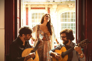 Porto: Co to jest fado? Koncert na żywo z komentarzami i winem porto