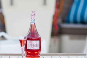 Six Bridges Cruise w/ Local Guide & Port Wine Tasting
