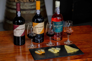 Vila Nova de Gaia: degustacja wina porto z parowaniem serów