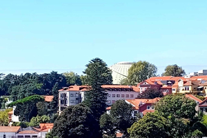 Walking Tour with Locals + Portuguese Cooking Class with Meal