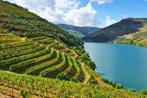 Douro-dalen og Amarante - fra Porto, Braga eller Guimarães