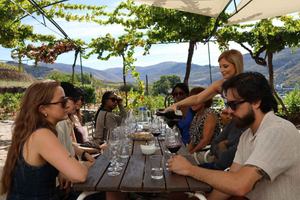 Douro-Tal: Halbtagestour mit 1 Weingut und 1-stündiger Bootstour
