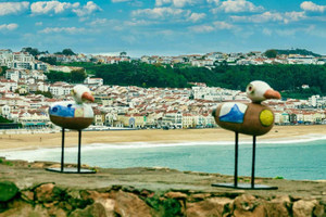 Z Lizbony: Tansfer do Porto z przystankami do 3 miast