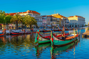 Från Porto: Aveiro privat guidad dagsutflykt