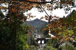 Von Porto: Kleingruppentour in den Naturpark Gerês mit Picknick