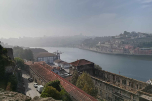 Lissabon: Privat transfer till Porto (direktresa)