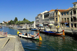 Lisbon to Porto Escapade: Aveiro and Coimbra Delights