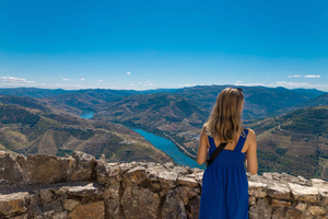 Porto: Historie- og vintur i Douro-dalen med krydstogt og frokost