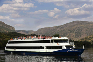 Porto: Régua Cruise with Train Ride and Wine Tasting