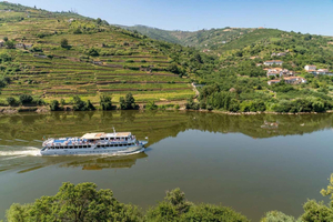 Porto/Regua/Porto (e viceversa): Crociera sul fiume Douro + Pranzo