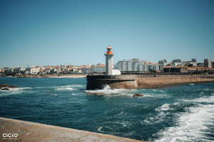Recorrido por la ribera de Oporto en e-bici: Costa Atlántica, Jardines