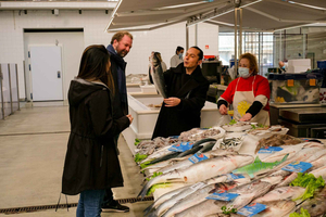 L'unico tour di degustazione del mercato del pesce, da mare a tavola