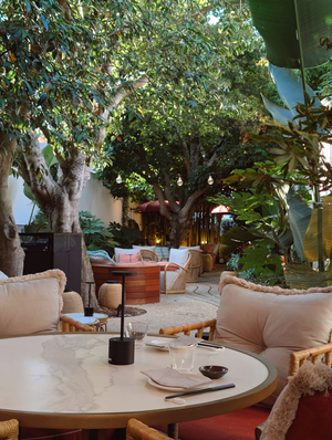 TOA Porto - Cocktail Bar & Terrace
