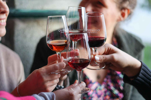 Vila Nova de Gaia: degustacja Porto Discovery