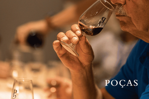 Vila Nova de Gaia: Tour della cantina con 2 DOC Douro e 2 Ports
