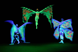 Praga: bilet na show w Czarnym Teatrze