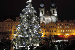 Christmas Street Food Walking Tour