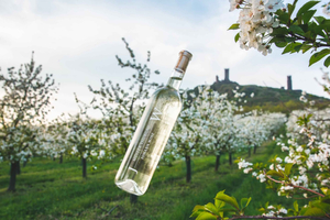 Czech Vineyards and Wine Tasting 4WD Tour with Lunch