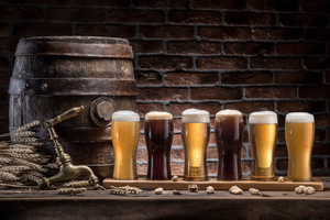 Discover Bohemia—Tisa Rocks, Bastei & Brewery Tour