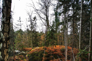 From Prague: Full-Day Bohemian Paradise Guided Hiking Trip