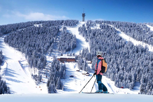 From Prague - One-Day Ski Adventure with Ski Instructor