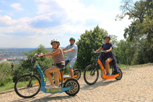 Grand e-Scooter Guided Tour