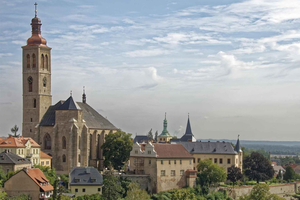 Kutná Hora: tour privato della Città d'Argento e dei capolavori gotici