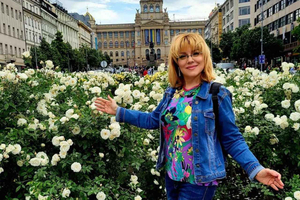Prague: Highlights of Prague Private Half-Day Tour by Car