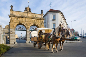 Private Pilsen & Pilsner Urquell Brewery Tour Prague