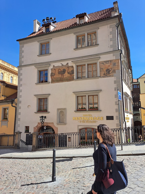 Hotel u3 pstrosu