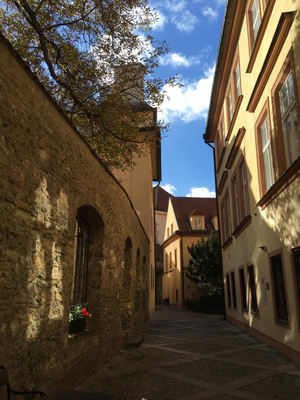 Opitz House