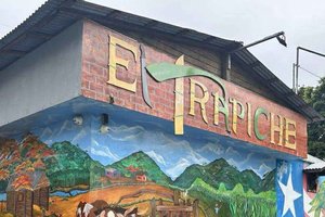 Arecibo: Intiaaniluolan ja Río Tanamán opastettu kierros