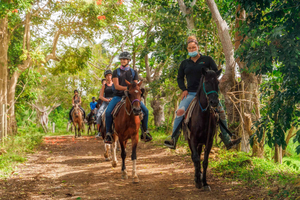 Carabalí Rainforest Park: Rainforest Horseback Riding Tour