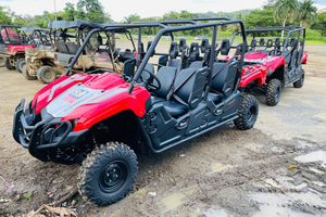 Carabalí Rainforest Park: UTV Adventure Tour