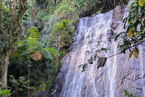 El Yunque: Rondleiding 'Laat me je mijn eiland laten zien'
