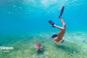 Fajardo: Vieques Island Snorkeling with Turtles Boat Tour