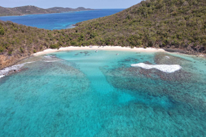 From Fajardo: Snorkeling and Beach Day in Culebra
