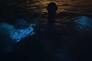 From San Juan: Bio Bay Magic & Rum Tasting Tour