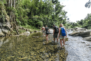 From San Juan: El Yunque Rainforest & Bio Bay Kayak Combo