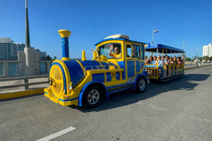 Old San Juan Trolley Sightseeing Tour: The Old & New SJ
