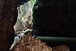 Aventura en cuevas kársticas y playa de Puerto Rico + transporte