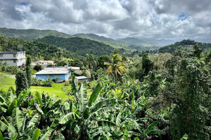 Puerto Rico: Guavate Pork Highway Tour with Food Tasting