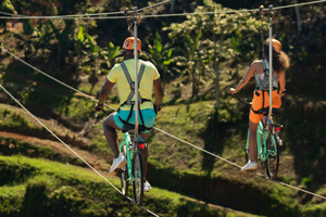 Puerto Rico: Toro Verde Adventure Park Zipline Bike Ticket