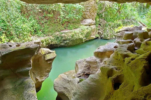 Rainforest Cave Tubing Adventure
