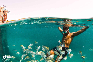 San Juan: Balneario de Escambron Snorkeling Tour