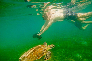 San Juan: Jet Snorkeling Adventure with Sea Turtle Spotting