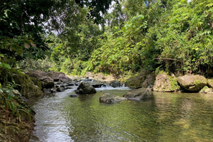Secret Path to Tinajas Falls (El Yunque Rainforest)