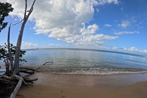 Vieques All Inclusive: Swim with turtles & Pristine Beaches